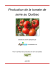 Production de la tomate de serre au Québec