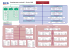 Organigramme nominatif – Février 2005