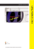 macromedia flash