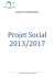 Projet Social 2013-2017 1er juillet 2013