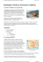 Burlington Northern and Santa Fe Railway