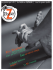 Zibeline n°7 en PDF