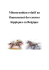 M&eacute;morandum relatif au financement des courses hippiques