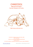 Comment faire d`un chien un compagnon