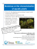 Workshop on the characterisation of aquatic plants - Mille