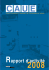 rapport d`activite 2008