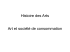 Histoire des Arts Art et société de consommation