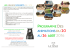programme des animations du 20 au 26