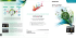 Solution informatique