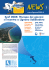 (file pdf da 3 MB)!