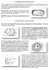 Caractéristiques des cellules procaryotes Caractéristiques des