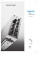 Checkbox Compact