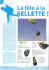 e`Ijlettes 2010 - Cotentin Vol Libre
