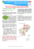 Un document de synthèse - DRAAF Pays-de-la