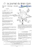 Journal BGF n&deg;3-4 - braingym.fr &ndash; Association Brain Gym France
