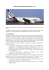 ETUDE DU SYSTEME DE FREINAGE DE L`A318