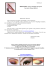 Documentation maquillage