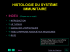 histologie du système immunitaire