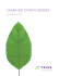 Guides des fonctions standard