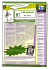 Journal N&deg;7 2&egrave;me version.pub - Lyc&eacute;e Jean Monnet