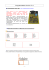 Programmateur de Pic V3.1