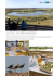 Le Parc du Marquenterre - Destination Baie de Somme