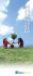 Planter un arbre – Quelques conseils