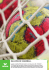 BALLONS DE HANDBALL