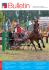 Pferdesport und Pferdezucht Sports équestres et élevage chevalin