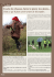 L`acte de chasse, faire le pied, les abois&hellip;