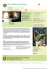 GITE RURAL N&deg;AYG2040 - G&icirc;tes de France Aveyron