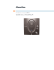 guide de l`utilisateur