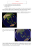 A. La surface du globe terrestre : une structure discontinue. Voir