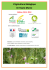 L`Agriculture Biologique En Haute-Marne