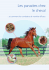 Les parasites chez le cheval