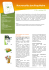 Lire le document - Ireps Aquitaine
