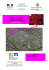 Note_mensuelle_Rungis_fleurs_fevrier_2015
