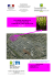 Note mensuelle Rungis fleurs mai 2015