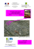Note_mensuelle_Rungis_fleurs_octobre_2015