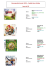 ZELDA : Ocarina of time 3D. Editeur : Japon : NINTENDO, 2011