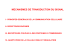 Transduction du signal