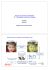 Description locale des images