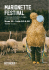Marionette festival