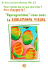 Reprogrammez-vous avec le subliminal visuel