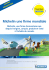 Michelin une firme mondiale