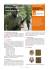 Militaire Lichamelijke Vaardigheid (MLV)