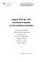 Rapport final