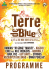 programme du festival terre de blues 2013