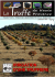irrigation d`une truffiere irrigation d`une truffiere