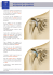 Traitement de l`arthrose de l`épaule par prothèse
